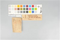 五色鳥藏品圖，第20張